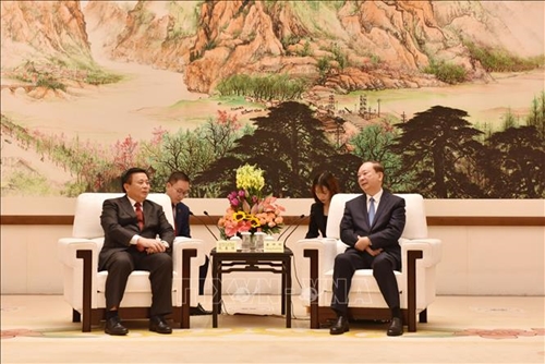 Hợp tác giữa hai Đảng, hai nước Việt Nam-Trung Quốc đã đạt nhiều tiến triển tích cực